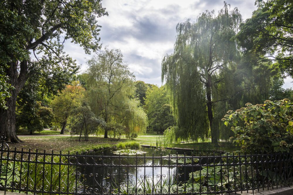 Botanical Gardens, Oslo