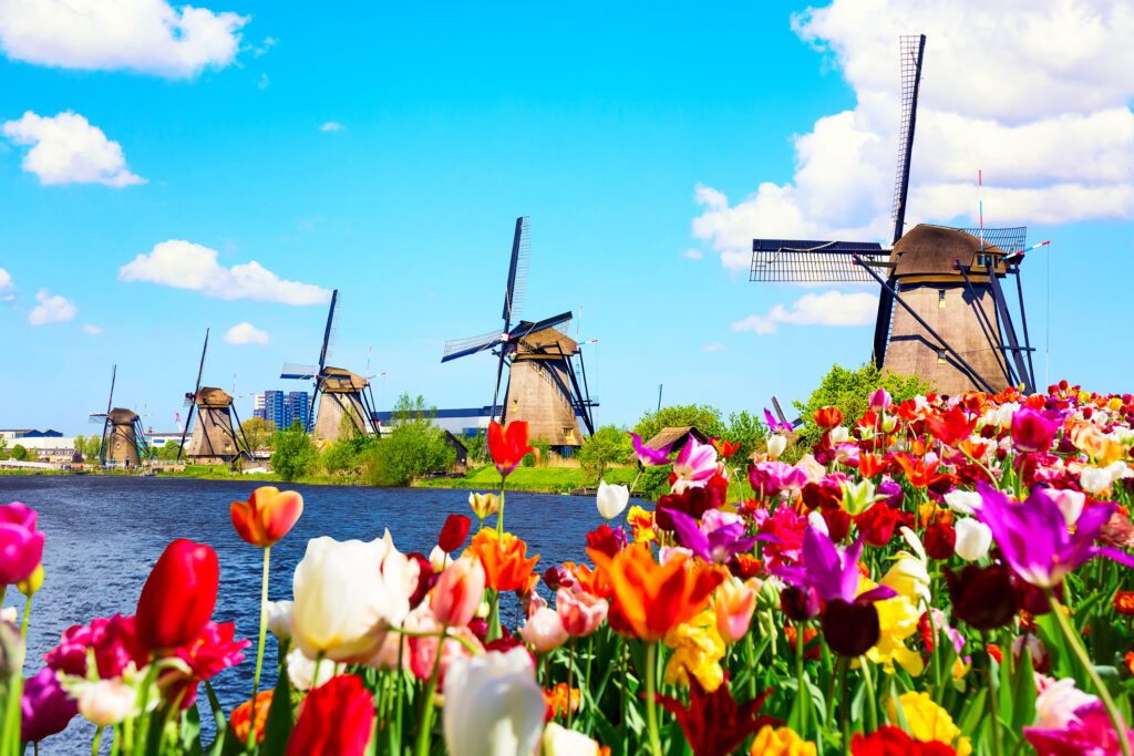 Kinderdijk Windmills, Rotterdam