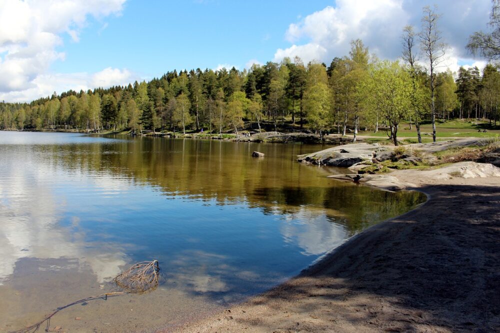 Nordmarka Oslo