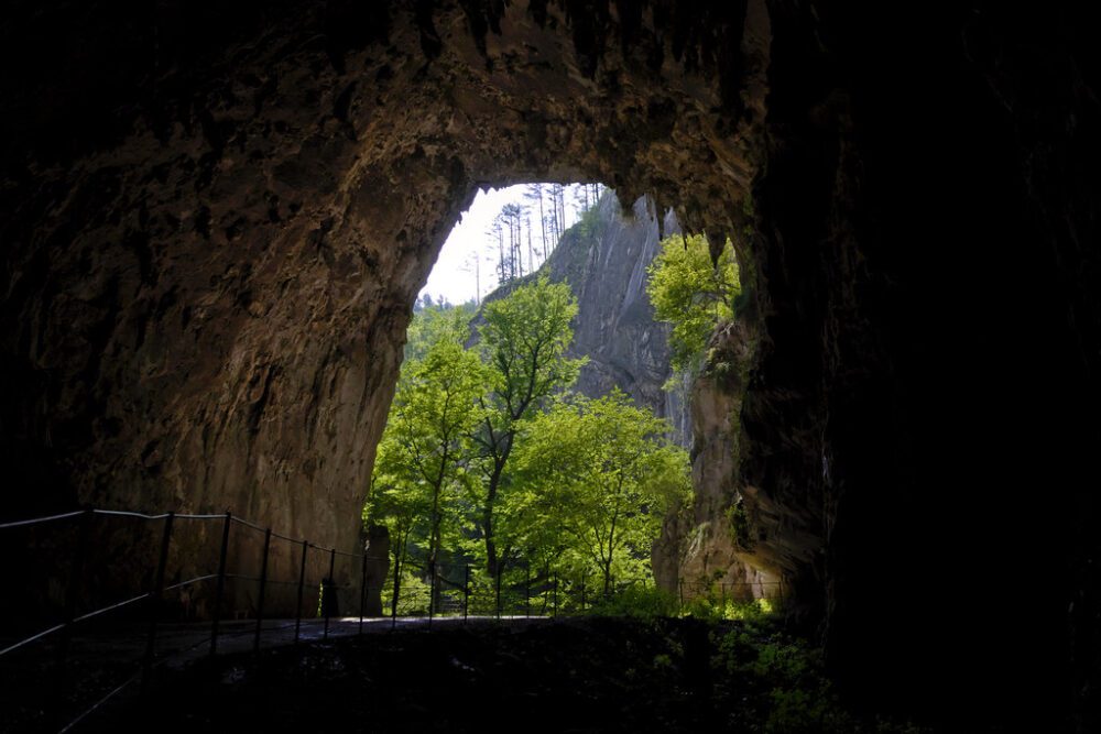 Postojna Cave Slovenia